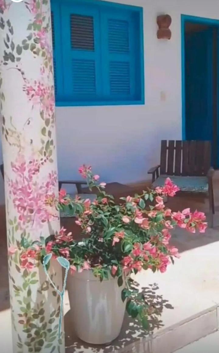 Recidencial Vila Pura Vida Canoa Quebrada Exterior foto